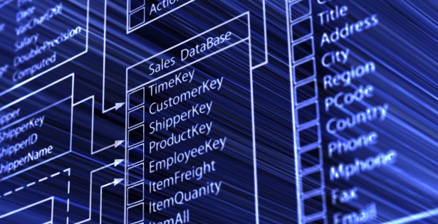 Yazılım ve Veritabanı Eğitimleri